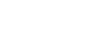 Pacesetter Homes Texas logo